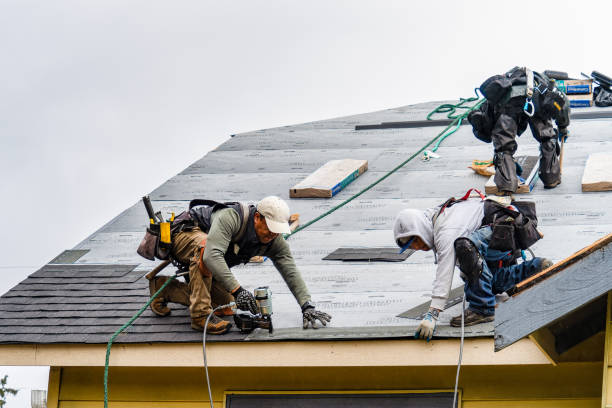 Professional Flat Roof Repair technician working in Charlemont, MA